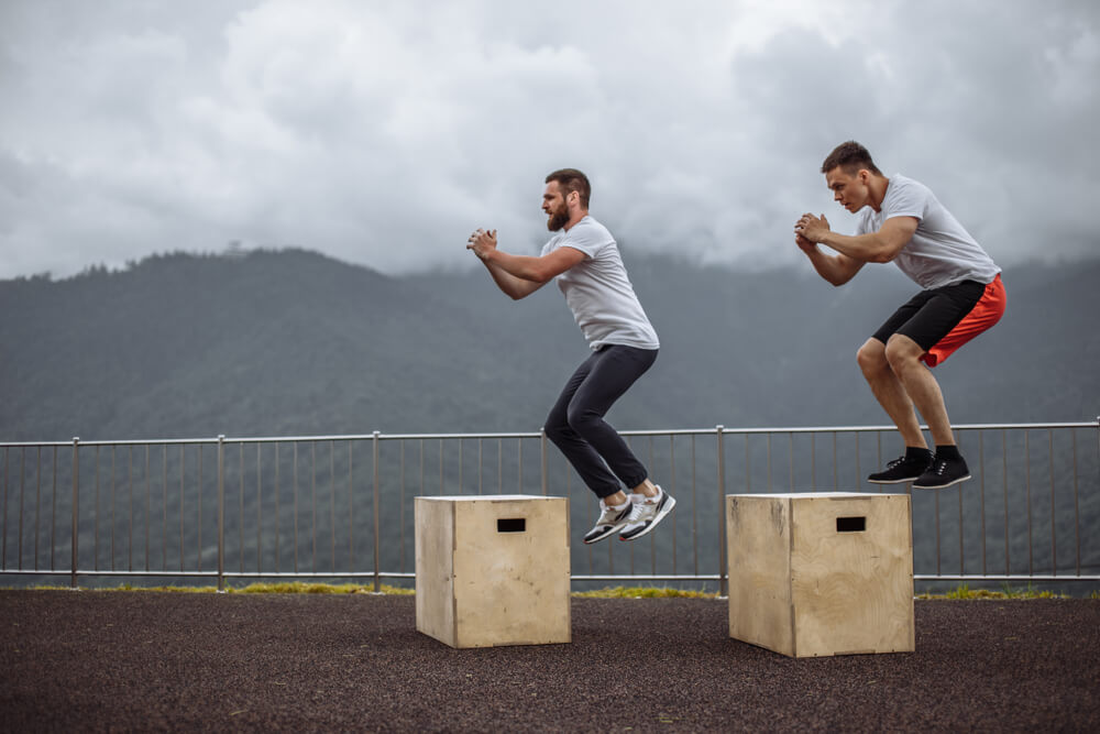 Plyometrics: The Beginner #39 s Guide to The Power Workout Samsung Food