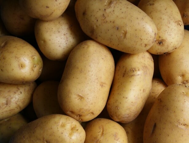 Is a Potato a Vegetable? Let’s Unravel the Tasty Truth!