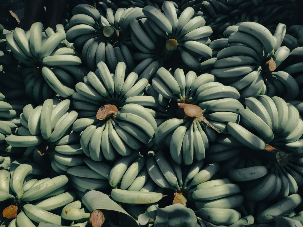 types of bananas