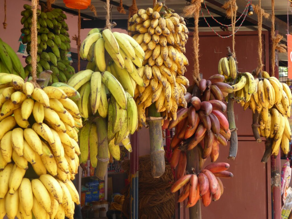 different types of bananas