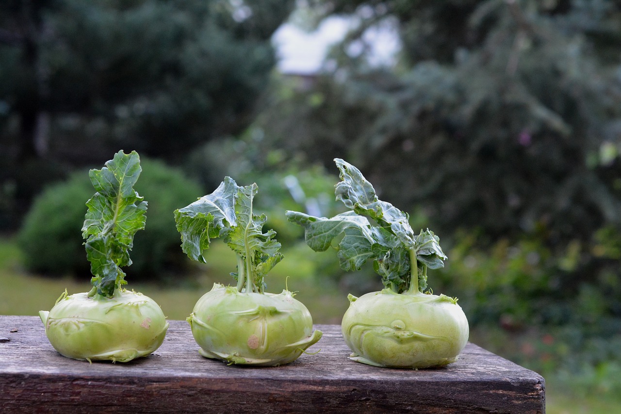 27 Types of Cabbage [Classic to Exotic Varieties] – Samsung Food