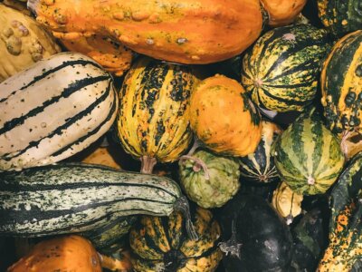 40 Different Types of Squash [from A-Z]